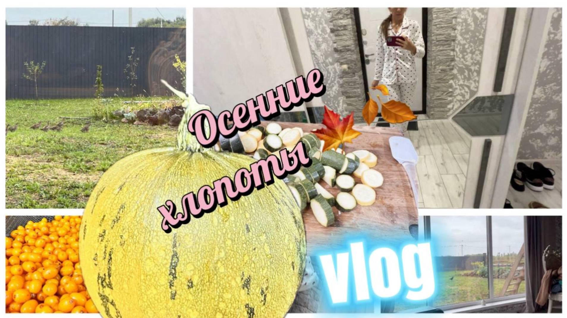 Под окном местные обитатели. Овощи с огорода смотреть онлайн