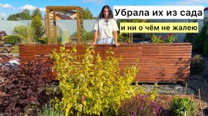 Долгожданные изменения в моём саду!