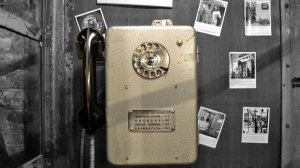 Примус - Телефон