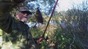 06-09-2025. Жизнь в Деревне: Что сегодня - Рыбалка по чёрному