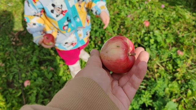 Деревенская эстетика