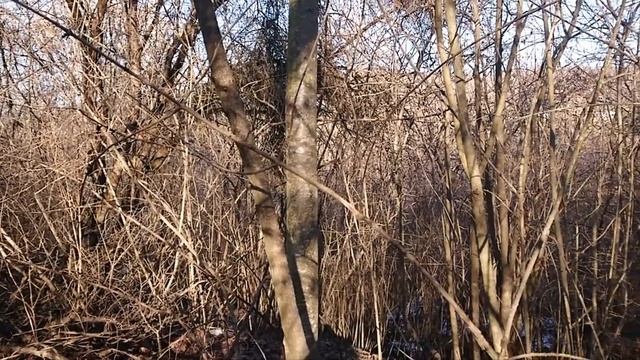 Атажукинский сад