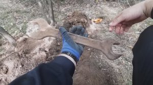 Металлокоп с новыми настройками