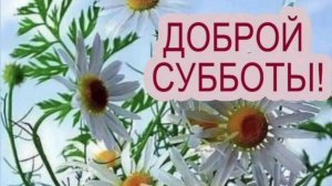 ДОБРОЕ УТРО НАЧНИ С УЛЫБКИ!