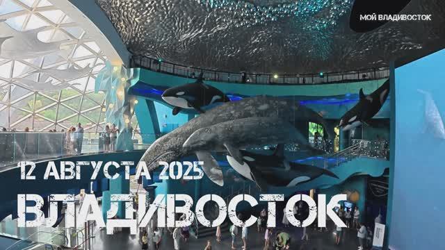 Владивосток остров Русский,Приморский океанариум (четвёртый фрагмент,12 августа 2025). смотреть онлайн