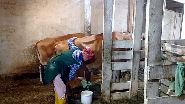 НАШИ БУДНИ !