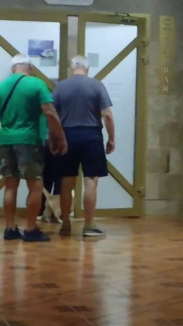 Котики правят миром. Проникновение