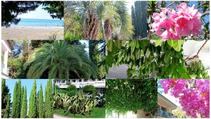 Я в восторге от растений. Джунгли в холле времён СССР. Жаль что время там остановилось.