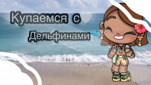 🐬🌴|купаемся с дельфинами|🌴🐬