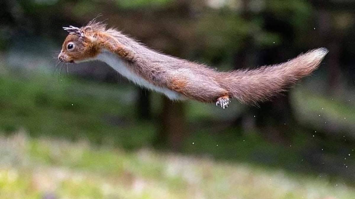 День полетов над землей смотреть онлайн