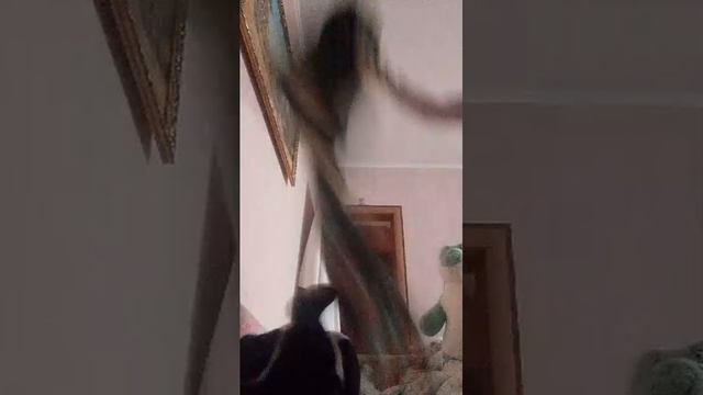 hbhhjxjxjxjмднюнюнебчдчдчдадвддвдбасммсбдлортивьоошнтуекюяэ смотреть онлайн