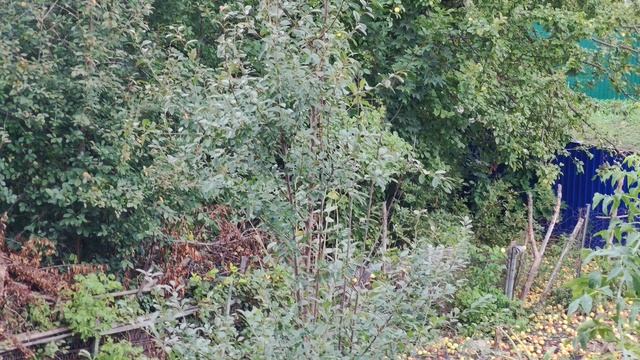 Деревенская эстетика