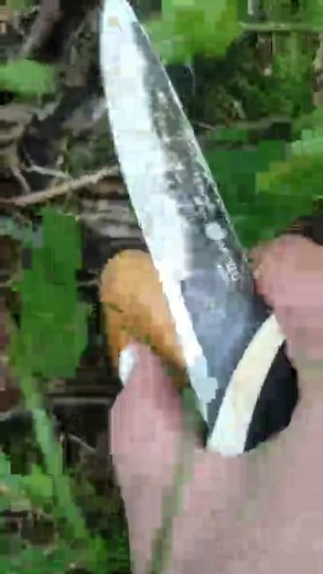 Рыжики смотреть онлайн