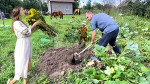 ЖИЗНЬ В СЕЛЕ. ОЧИЩАЕМ ЗАБРОШЕННЫЙ УЧАСТОК. САЖАЕМ САД. НОВЫЙ ЗАБОР ДЛЯ ЛОШАДЕЙ.