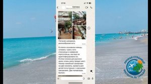 Отзыв Washington Resort & Spa 5 звезд Турция, с 23 по 30 августа 2025 года