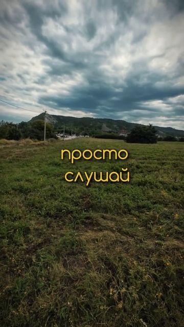 А вы обращаете внимание на звуки? Вокруг вас много приятных для души природных звуков и видов
