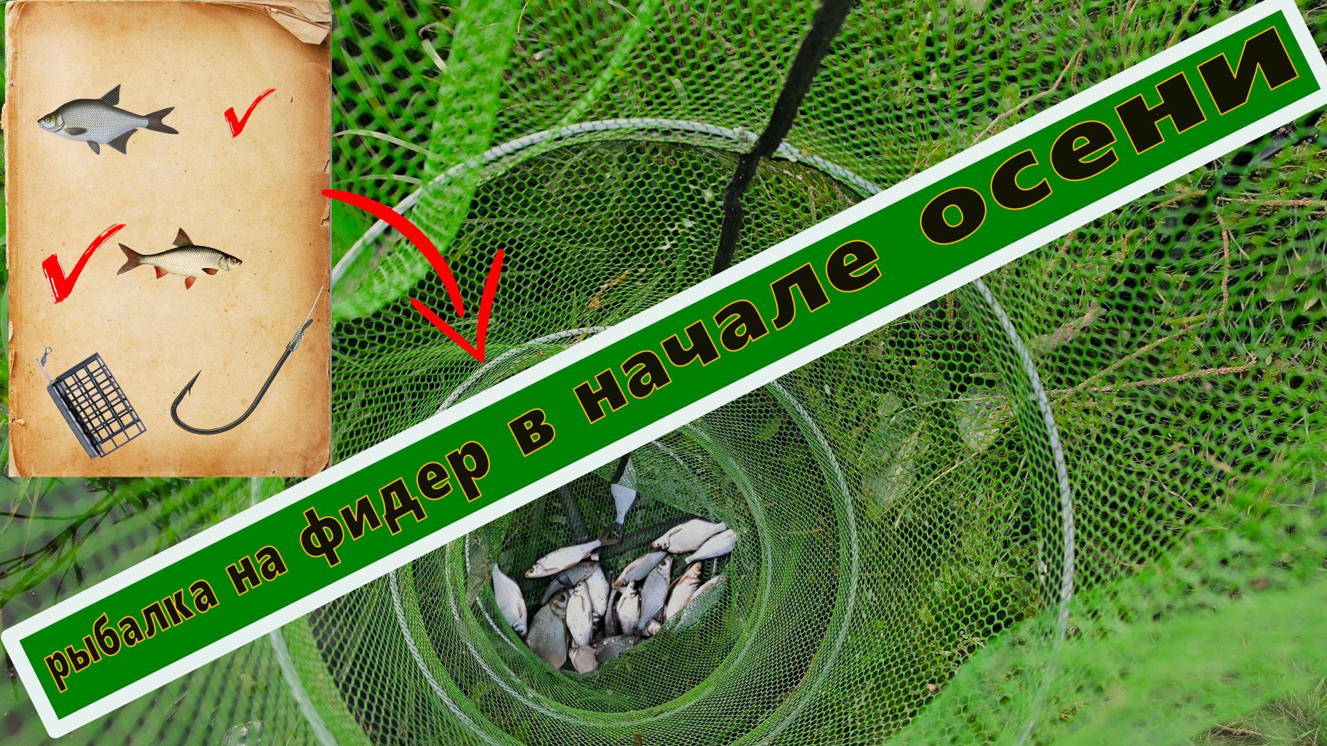 рыбалка на фидер в начале осени смотреть онлайн