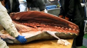 Разделка 300кг Гигантской Рыбины (Тунец)
