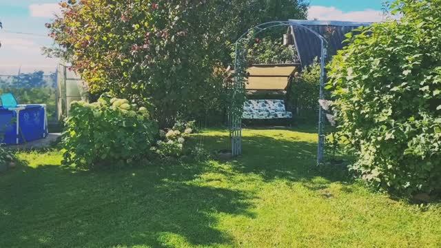 Уютная дача! 🏡Тёплый сентябрь радует!🍁🍂🍁 Обзор цветов!🌺 смотреть онлайн