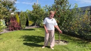 ВАЖНЫЕ САДОВЫЕ ДЕЛА СЕНТЯБРЯ!