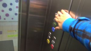 Панорамный лифт СЛЗ Wellmaks в ТЦ Центральный г. Домодедово