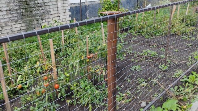 Деревенская эстетика