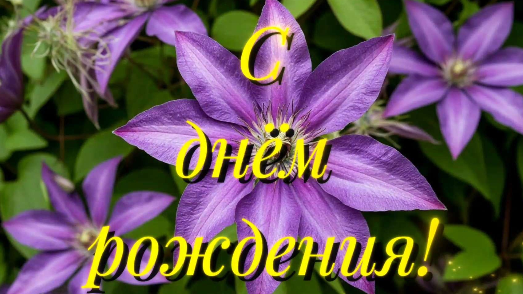 С днём рождения красотка! смотреть онлайн