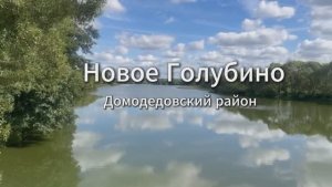Купить участок в Голубино. Домодедовский район. 40 минут от  Москвы