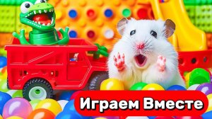 ЛАБИРИНТЫ С ЛОВУШКАМИ ДЛЯ УМНОГО ХОМЯКА 🐹 ВЫБИРАЕМСЯ ВМЕСТЕ ! ВИДЕО ДЛЯ ДЕТЕЯ ПРО ХОМЯКА