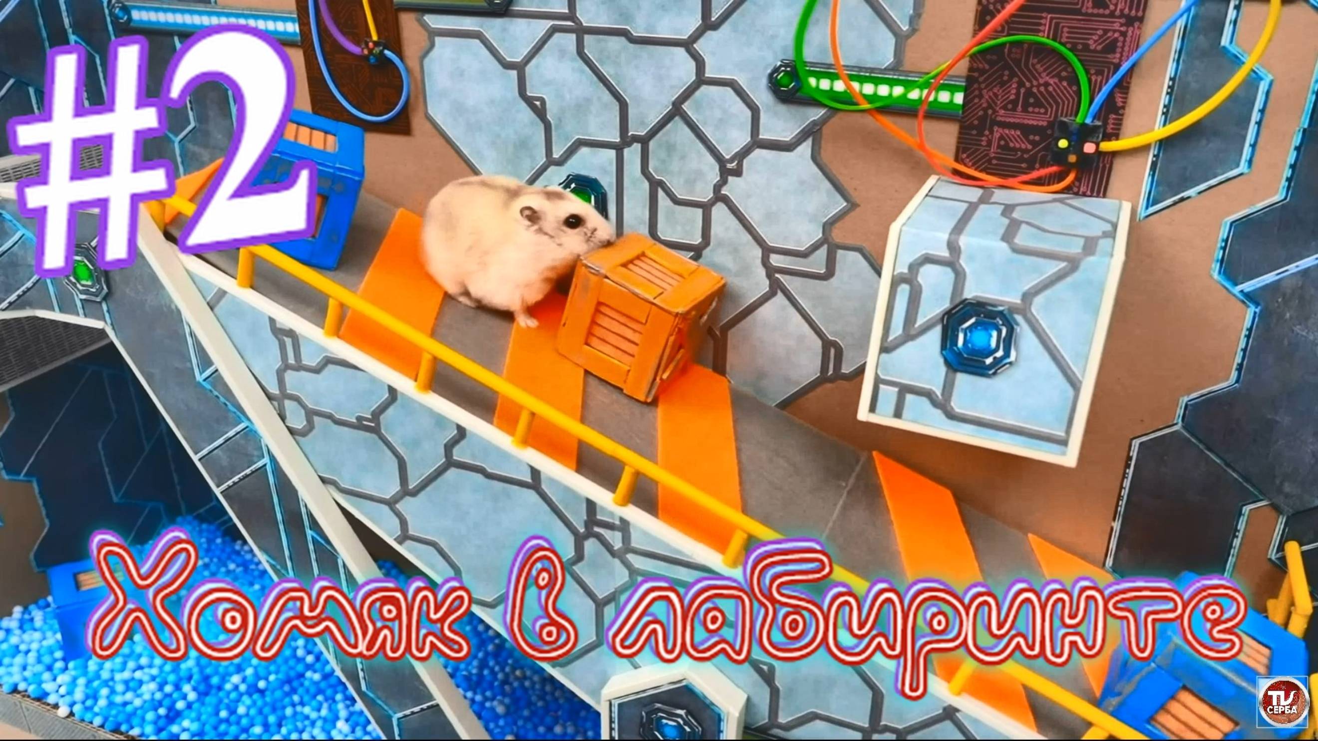 Хомяк в лабиринте (2 серия) смотреть онлайн