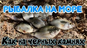 Осенняя рыбалка на море со снастью «бомбарда»