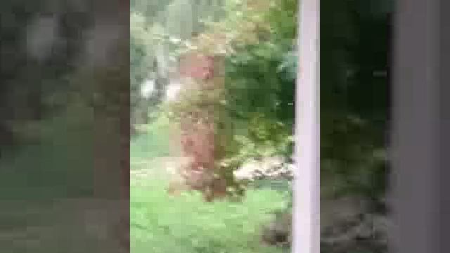 Люди - травля от Ульяна