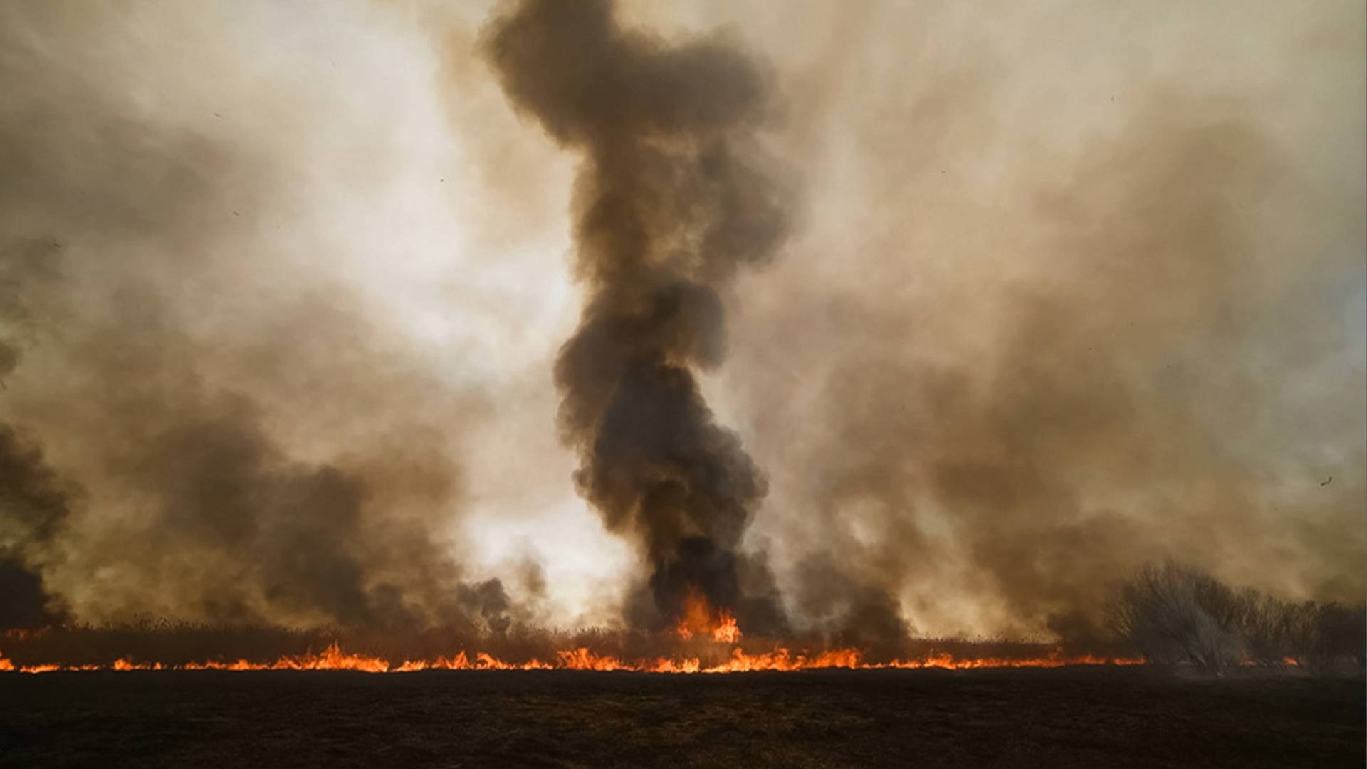 Телеканал МИР