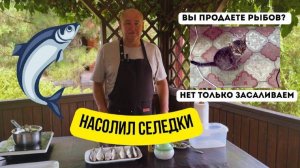 Солим донскую селедку. Слабосоленая  селедка. Готовит Эдуард Иванович.