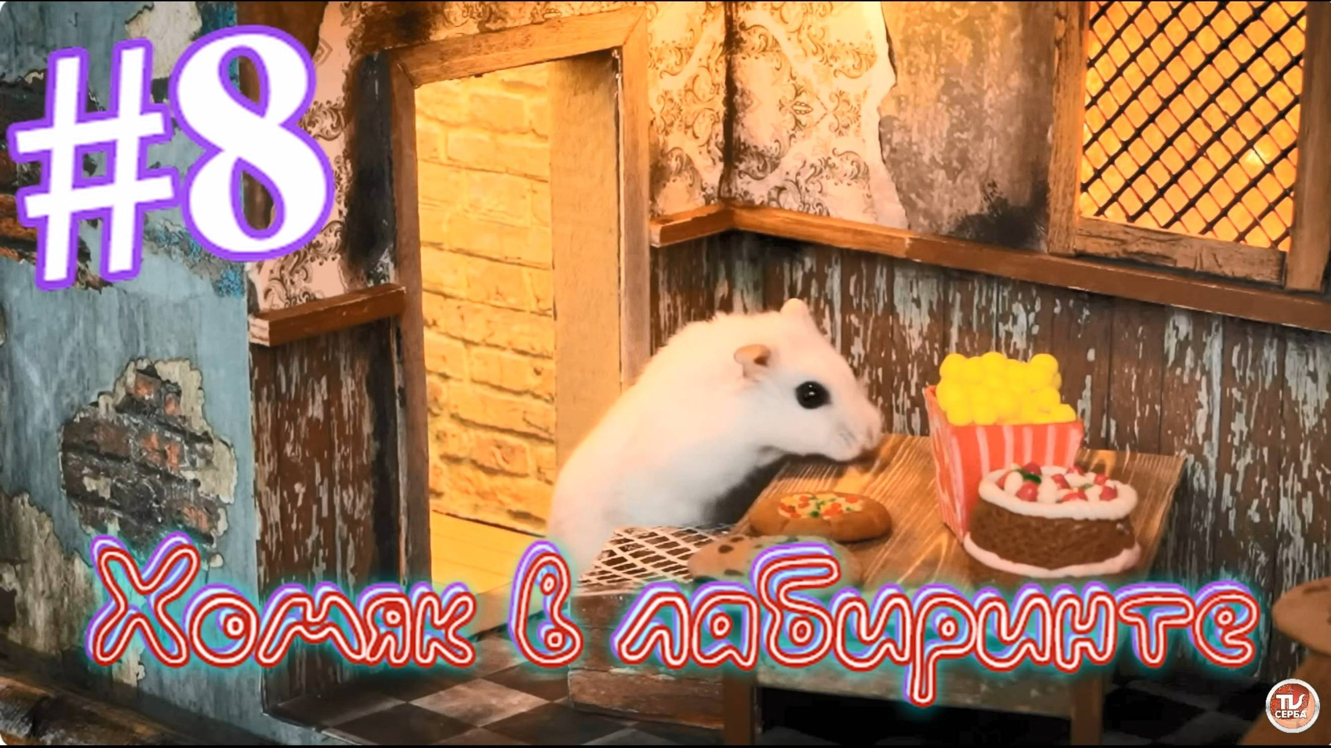 Хомяк в лабиринте (8 серия) смотреть онлайн