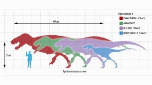 Первые динозавры (рассказывает палеонтолог Ярослав Попов)