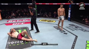 Харри Хардвик против Кауе Фернандеса (видео). UFC Fight Night