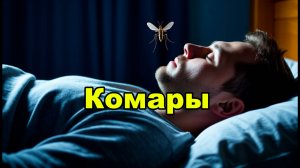 Комар. Музыкальный клип