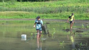 спасение РЫБЫ