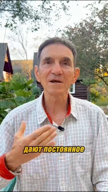 Безделье- микроб усталости смотреть онлайн