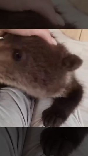 Нашли ребенка