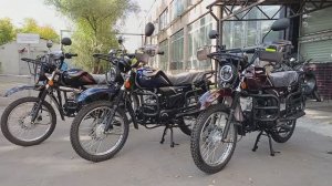 Самый продаваемый мопед Regulmoto Alpha RM-3
