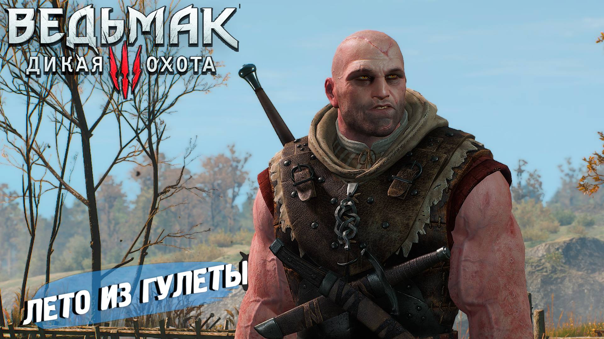 ЛЕТО ИЗ ГУЛЕТЫ ➤ Ведьмак 3 Дикая Охота #18