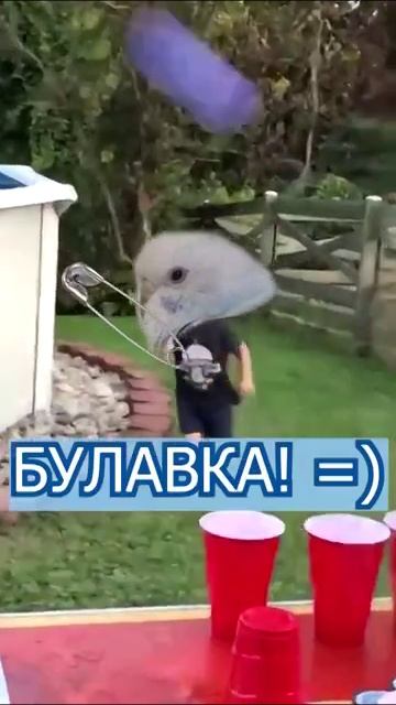 Shorts с эффектами