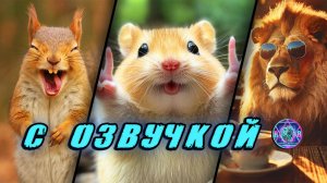😎 ПРИКОЛЫ с котами! С ОЗВУЧКОЙ 🥰 СМЕШНЫЕ КОТЫ! ☺️ Самые смешные животные! 😳 СМЕХ до слез! 😹 2025