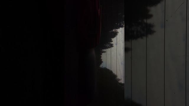 Еду к бабушке в деревню смотреть онлайн