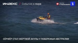 Сёрфёр стал жертвой акулы у побережья Австралии