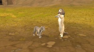 ПАЛЮ ВНЕШКУ!