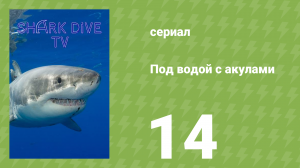 Под водой с акулами 14 серия (документальный сериал, 2023)