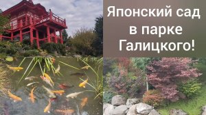 Прогулка по японскому саду в парке Галицкого 26 августа/Очень красиво в любое время/